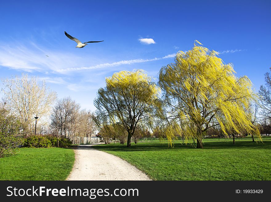 Yellow Trees And The Seagull