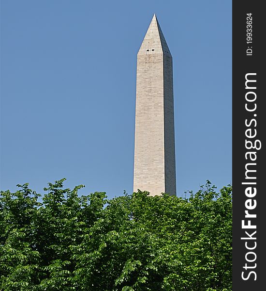 View of the Washington Monument behind a row of leafy, green trees. View of the Washington Monument behind a row of leafy, green trees.