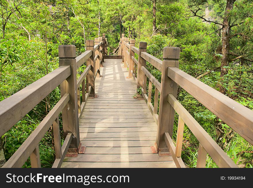 Wooden bridge in the forest