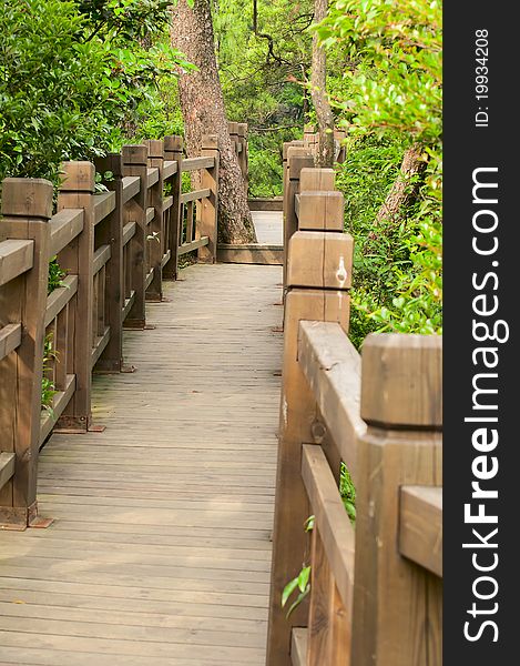 Wooden bridge in  the  forest