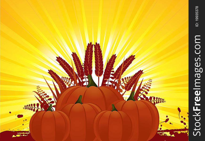 Ripe pumpkins and silhouete corn on a sunburst background. Ripe pumpkins and silhouete corn on a sunburst background