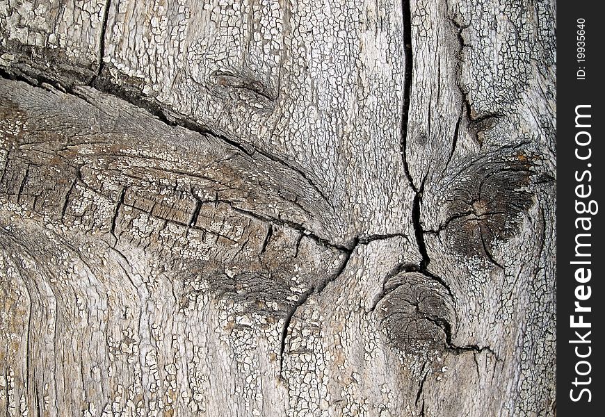 Old wooden texture closeup background. Old wooden texture closeup background.