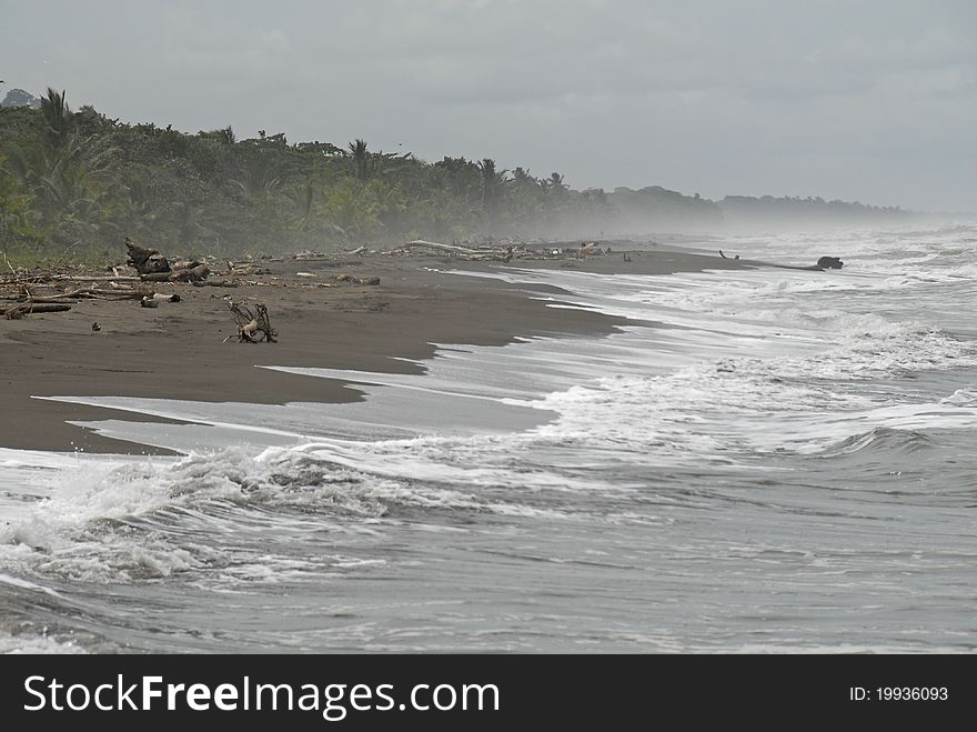 Jungle beach at Torteguero, Costa Rica. Jungle beach at Torteguero, Costa Rica