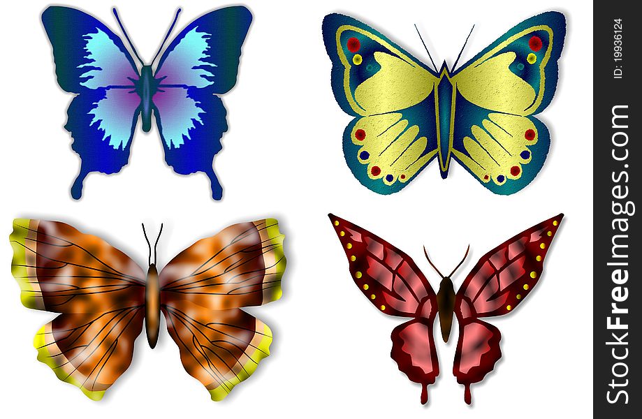 A colorful collection of four different types of butterflies on a white background. A colorful collection of four different types of butterflies on a white background