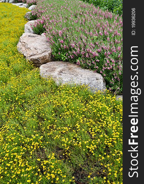 Small yellow and pink flower field in the park in Thailand