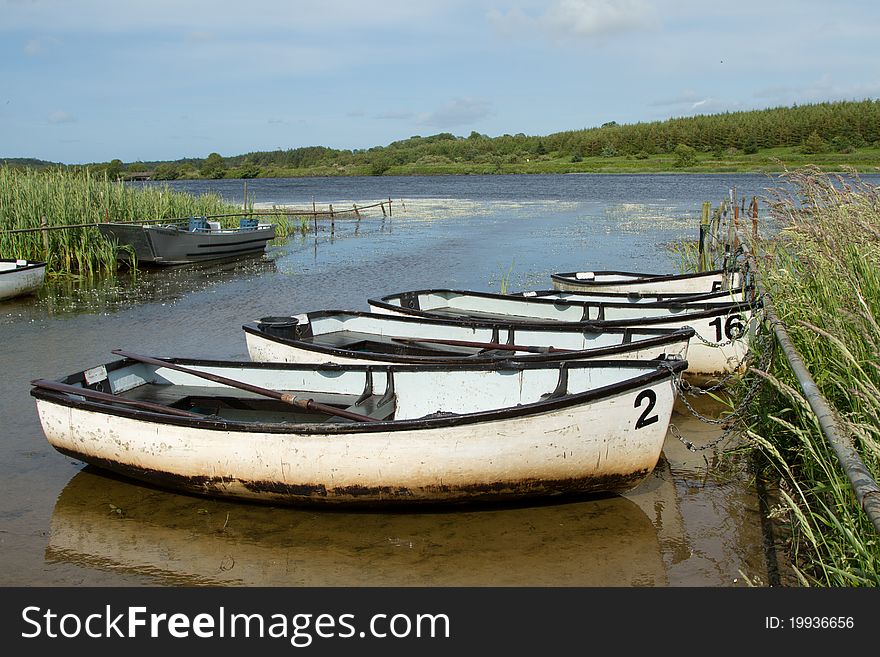 A number of white fishing boats chained to a metal rail on a lake with grass, trees and a blue sky.