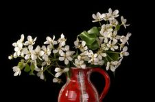 Bouquet Of Flowers And Blossoms Of Cherries Royalty Free Stock Images Bouquet Of Flowers And Blossoms Of Cherries Royalty Free Stock Images
