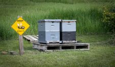 Honey Bee Hives Royalty Free Stock Photography Honey Bee Hives Royalty Free Stock Photography
