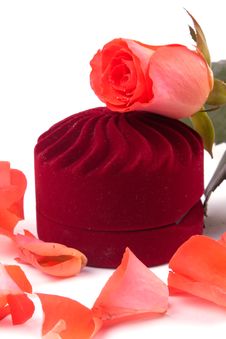 Closed Box And Lying Next To Rose Petals Royalty Free Stock Photos Closed Box And Lying Next To Rose Petals Royalty Free Stock Photos