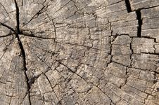 Old Cracked Wood Texture Royalty Free Stock Photo