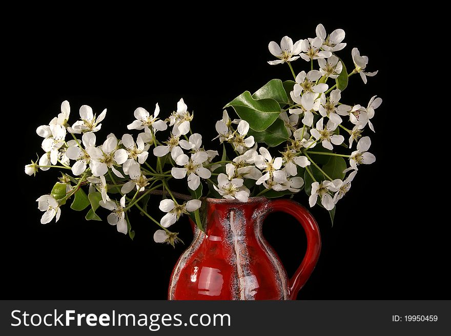 Bouquet of flowers and blossoms of cherries isolated on black