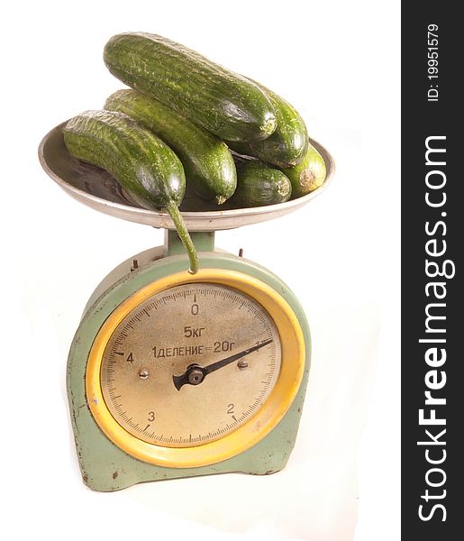 Fresh, green cucumbers lie on scales. Fresh, green cucumbers lie on scales