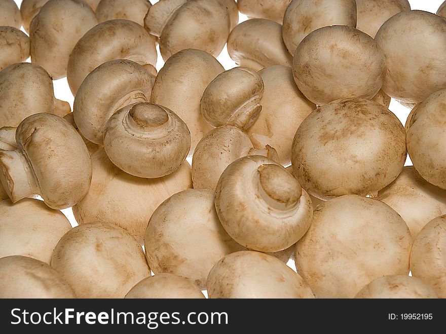 Background with raw champignons on white