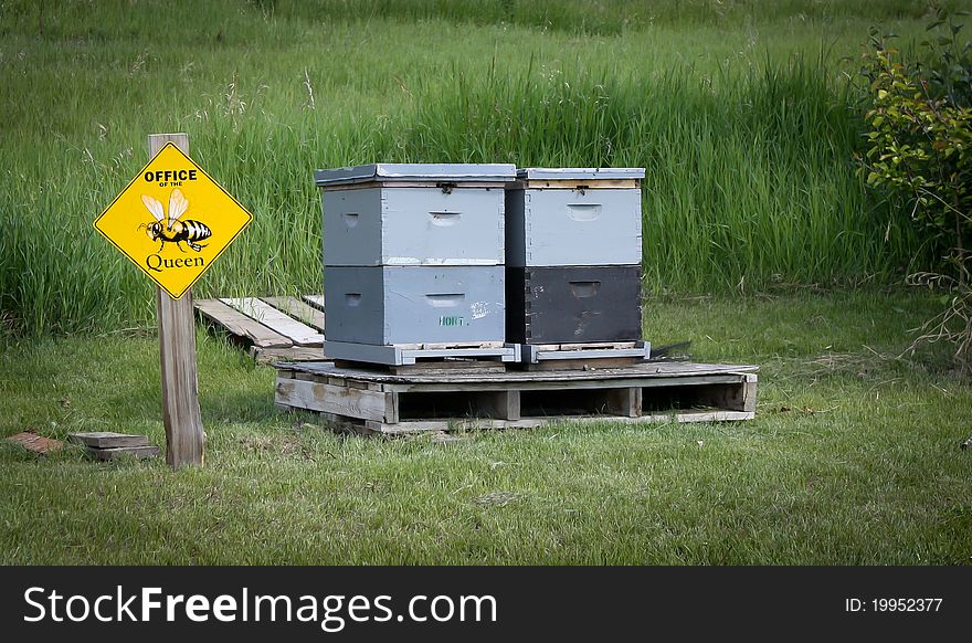 Honey bee hives at the Fairbanks Alaska Botanical Gardens