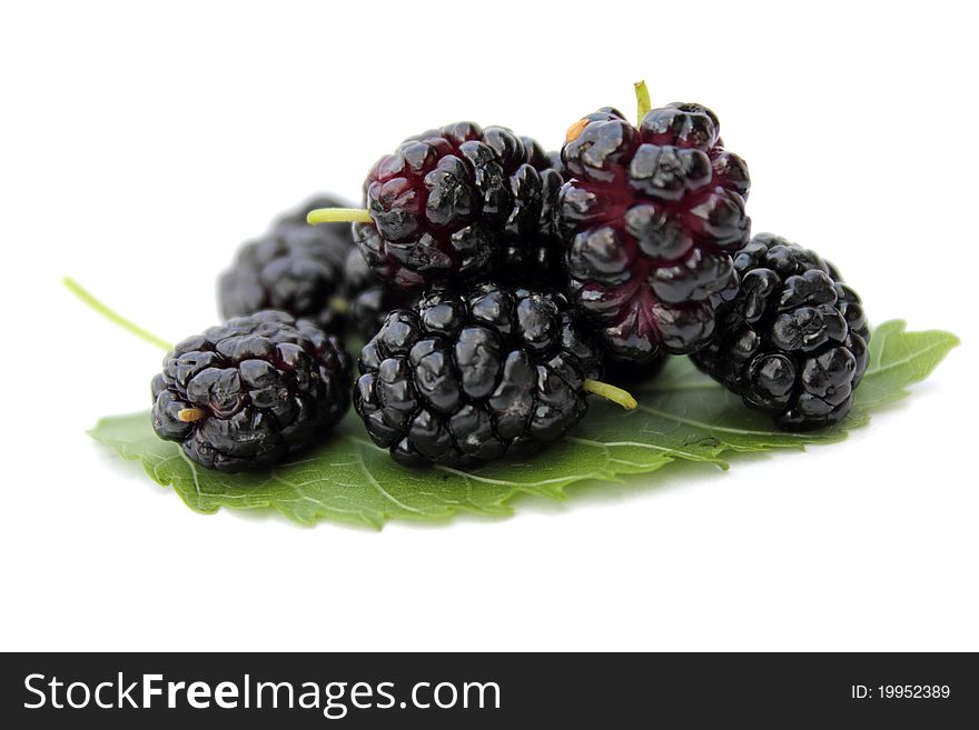 Blackberry, Blackberries