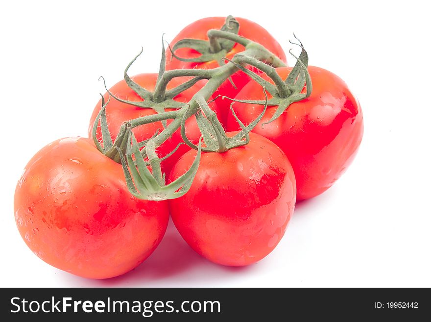 Red tomatoes on a branch on a white background