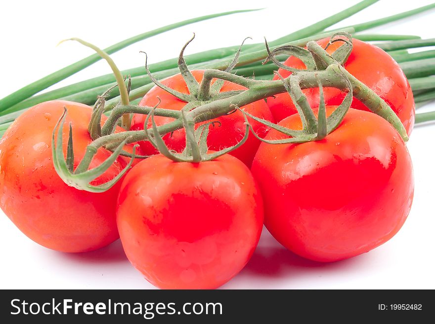 Red Tomatoes On A Branch