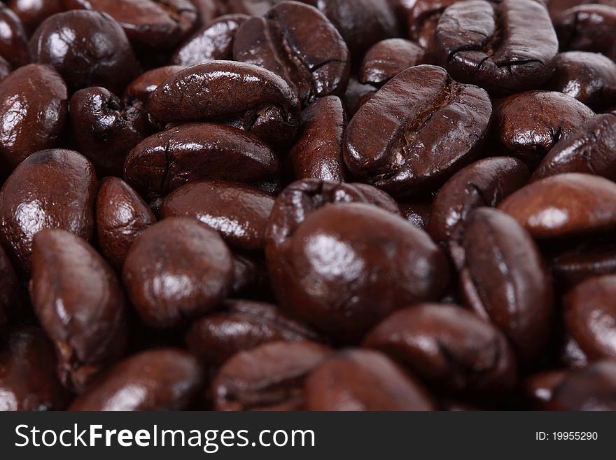 An arrangement of coffee beans on a white background