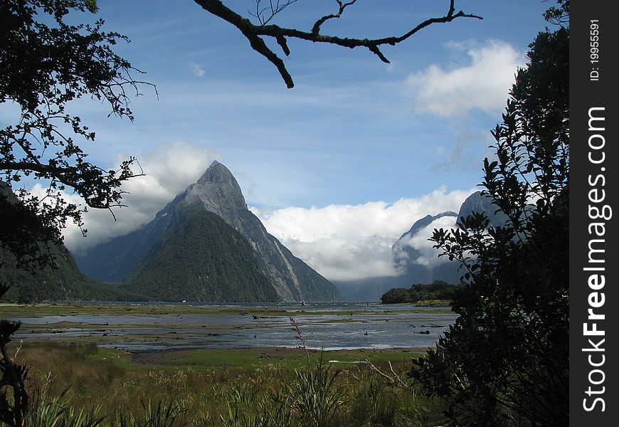 This picture was taken in summer, in Milford Sounds, South Island, New Zealand. This picture was taken in summer, in Milford Sounds, South Island, New Zealand.