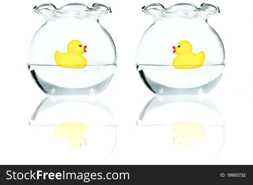 Two aquariums and duckies with the reflection