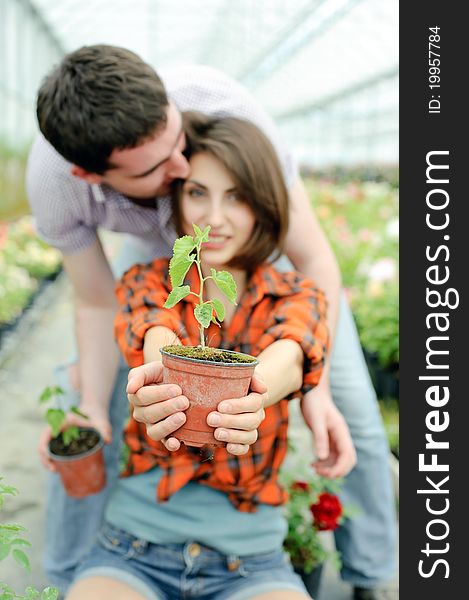 An image of a young couple with a plant in the pot. An image of a young couple with a plant in the pot