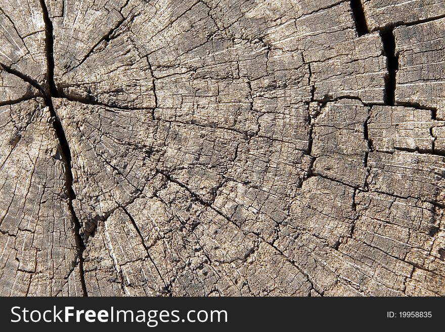 Cutting old cracked wood texture