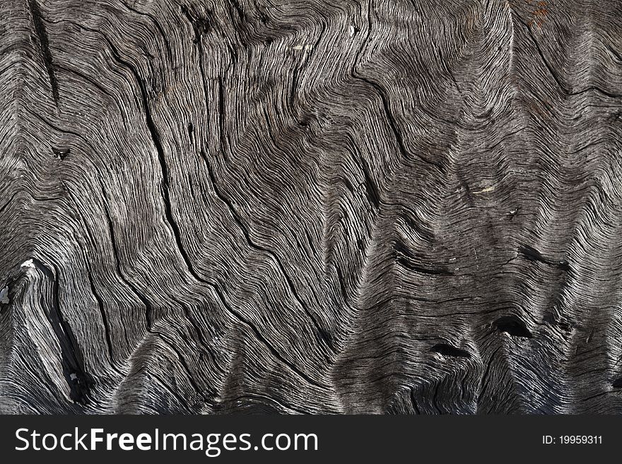 Abstract wooden texture.May be used as background