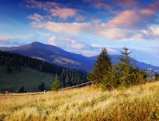 Summer Landscape Royalty Free Stock Photos Summer Landscape Royalty Free Stock Photos