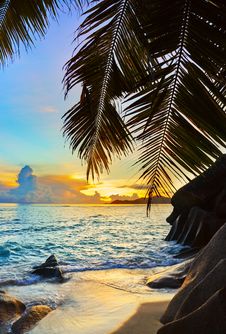 Tropical Beach At Sunset Royalty Free Stock Photo Tropical Beach At Sunset Royalty Free Stock Photo