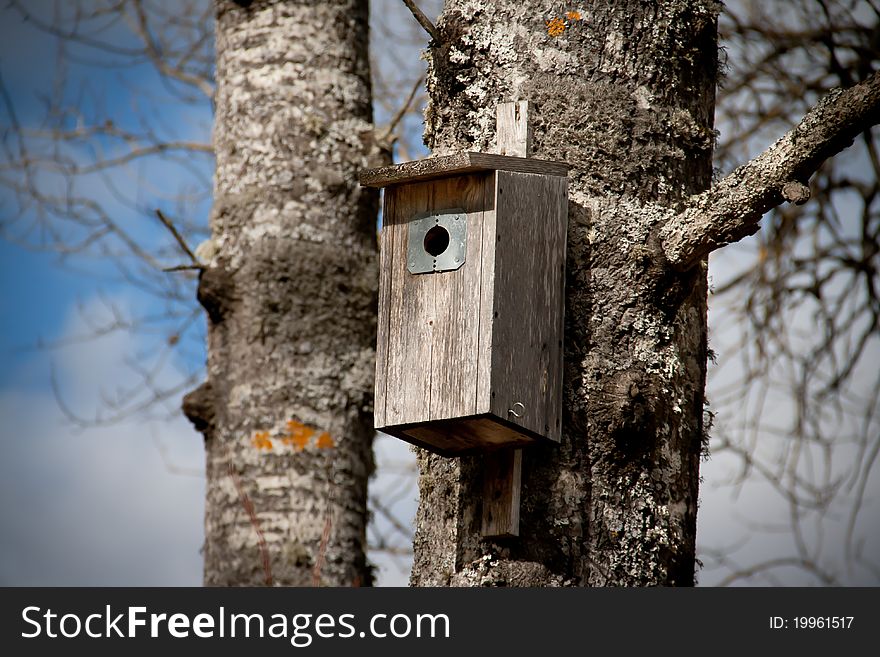 Nesting box on a tree