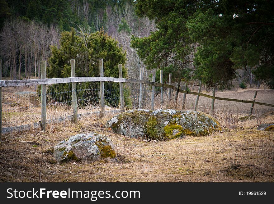 Wooden Fence