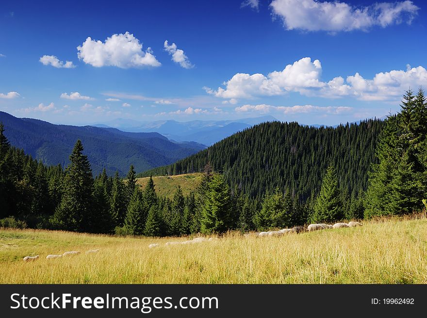 Summer landscape in mountains and the dark blue sky with clouds. Summer landscape in mountains and the dark blue sky with clouds