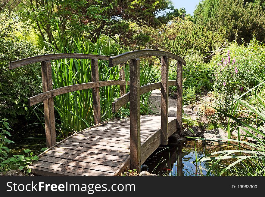 Botanical garden, idylic scenery with green nature in a park