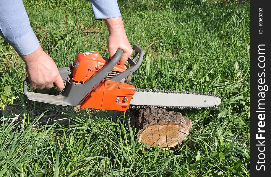 Man's hands hold a petrol saw which saws a tree piece