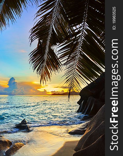 Tropical beach at sunset - nature background