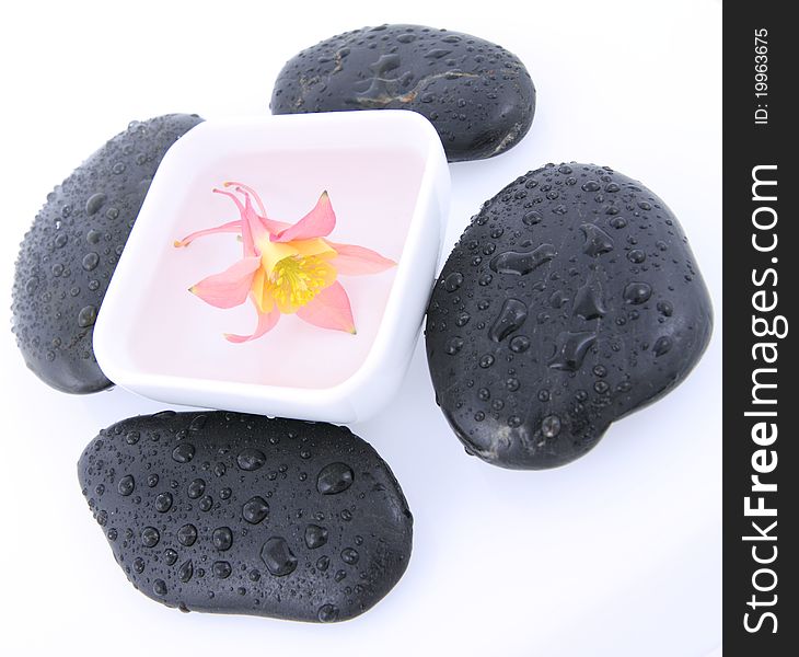 Columbine flowers floating in a bowl and spa stones on a white. Columbine flowers floating in a bowl and spa stones on a white