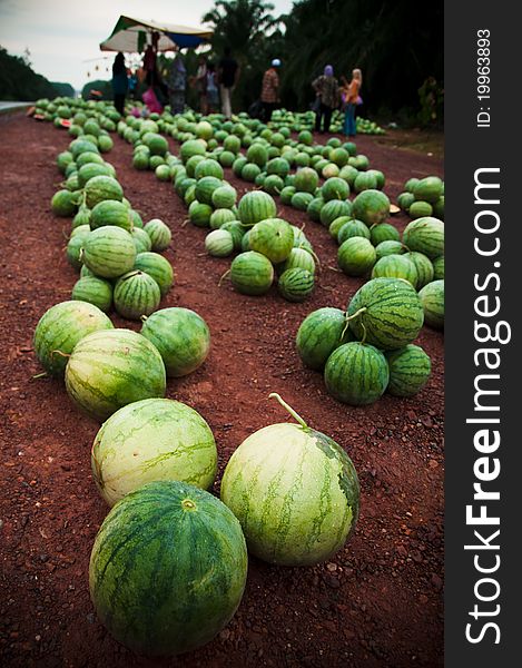 Watermelon fresh from farm being sold at the road side. Watermelon fresh from farm being sold at the road side