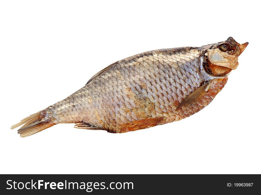 Dried Fish Isolated on White Background