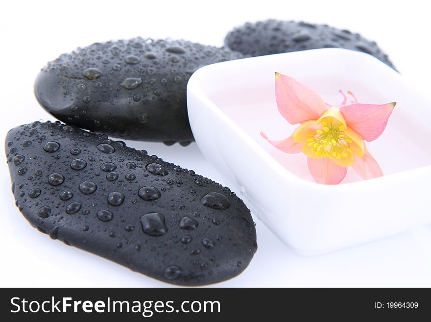 Columbine flower floating in a bowl and spa stones on a white. Columbine flower floating in a bowl and spa stones on a white