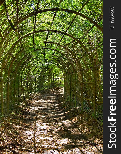 Archway in park in Sunny day in summer