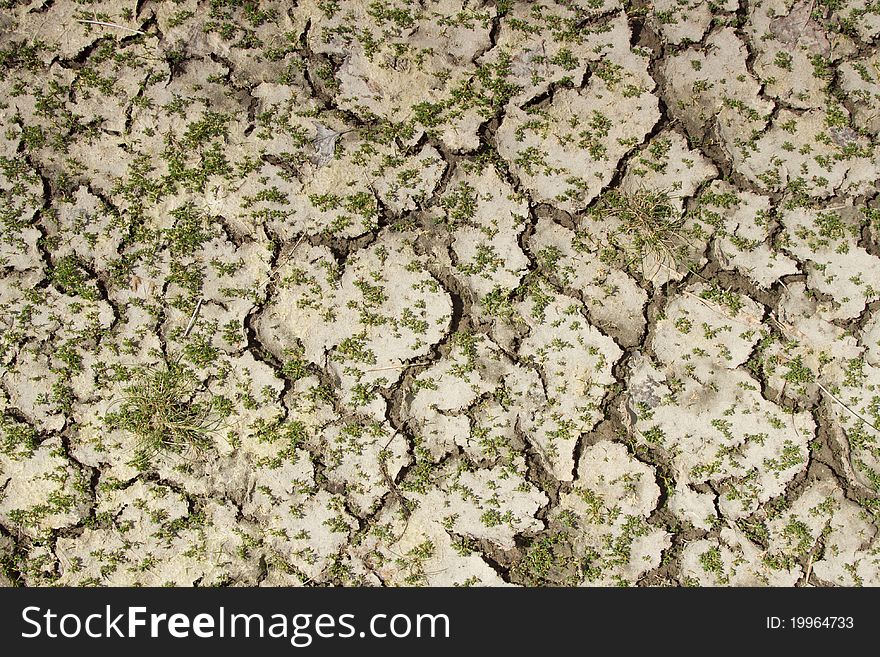 Dried soil forms a cracked mosaic with green plants following a drought. Dried soil forms a cracked mosaic with green plants following a drought.