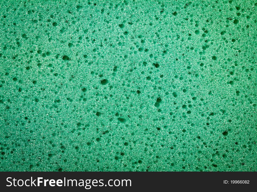 Image of a green spongy texture. Image of a green spongy texture