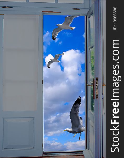 Seagulls flying on blue sky through an old traditional door on Santorini island, Greece