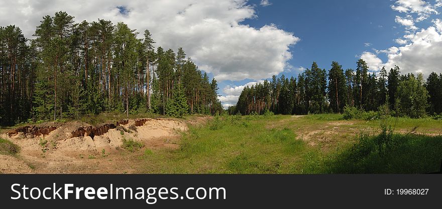 Panoramic landscape of forest in sunny summer day. Panoramic landscape of forest in sunny summer day