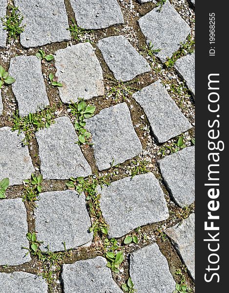 Pavement stone tile with grass germination