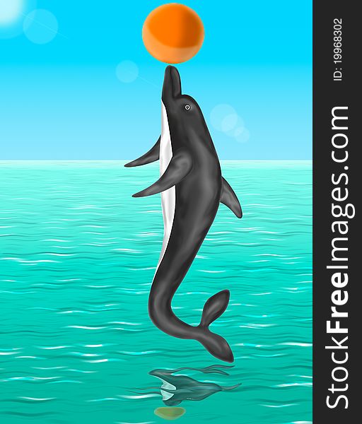 Dolphin Plaing With A Ball