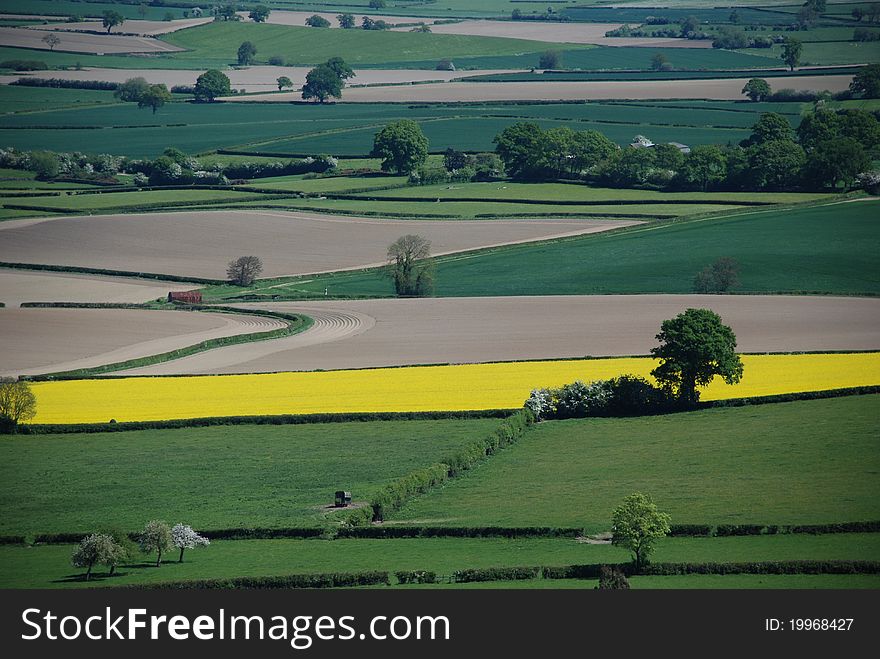 A field of Oilseed amongst mixed farmland. A field of Oilseed amongst mixed farmland