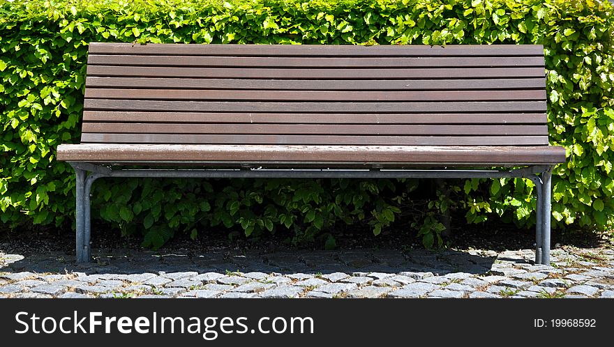 Wooden bench in front of bush