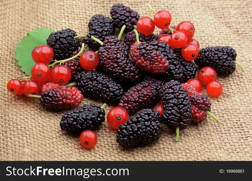 Sweet mulberry and red currants on the linen texture