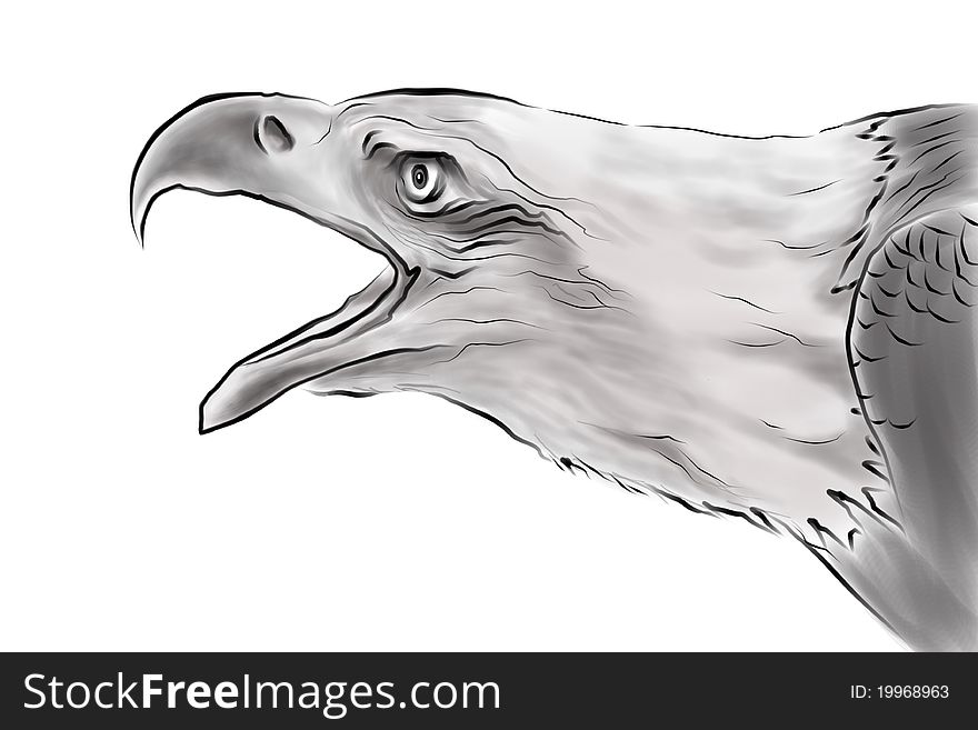 Drawing of eagle in black and white with bush
